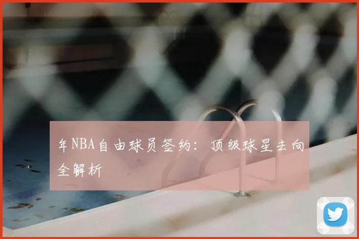 年NBA自由球员签约:顶级球星去向全解析