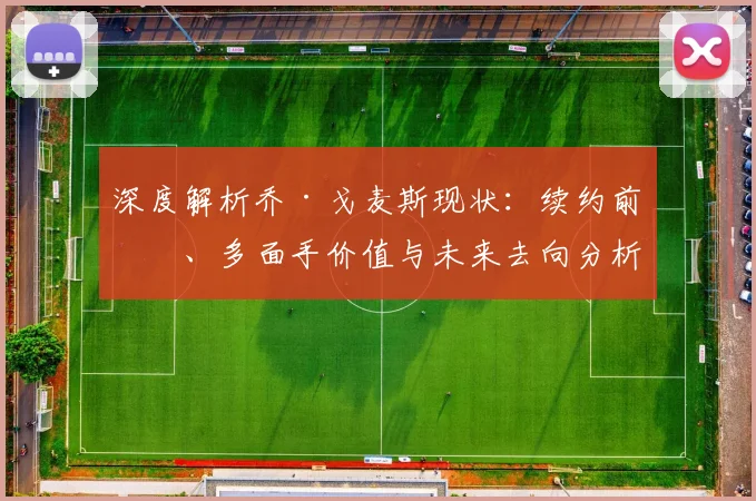 深度解析乔·戈麦斯现状：续约前景、多面手价值与未来去向分析