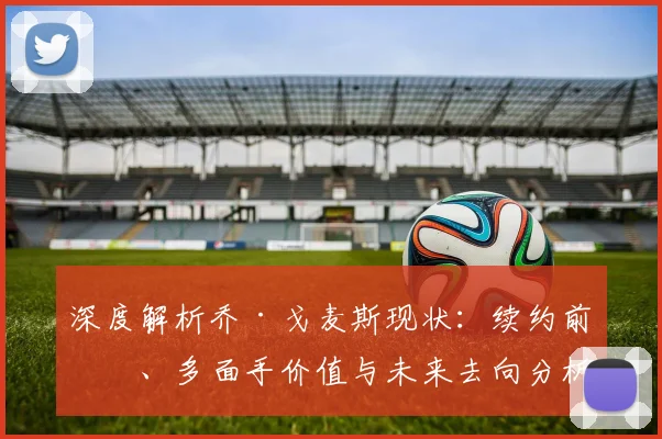 深度解析乔·戈麦斯现状:续约前景、多面手价值与未来去向分析